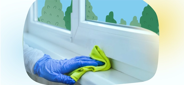 person-spring-cleaning-a-window-sill