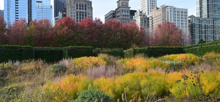 lurie-garden-in-chicago-in-fall