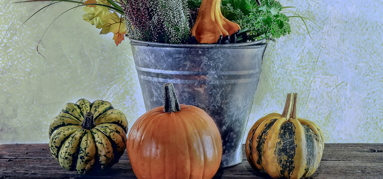 pumpkins-on-table