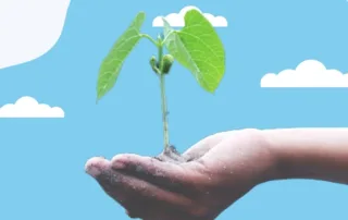 person-holding-a-plant-in-their-hand-outside