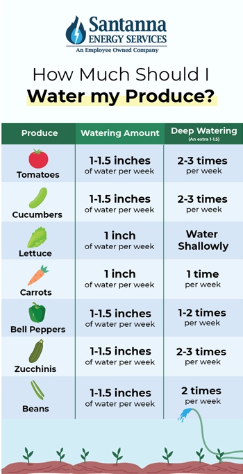 How-Much-Should-I-Water-my-Produce