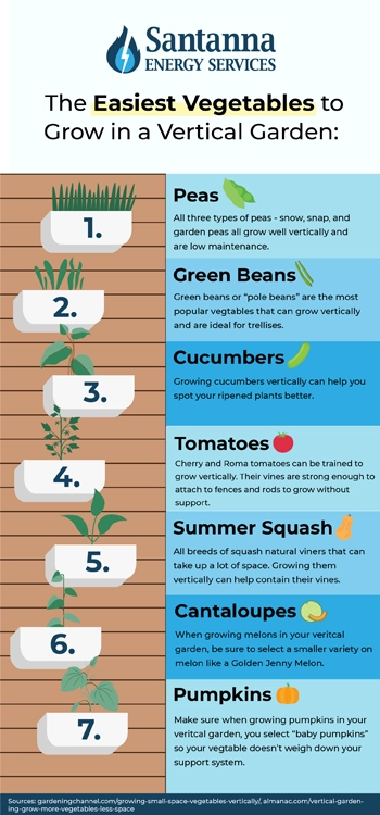 infographic-of-the-easiest-plants-to-grow-in-a-vertical-garden