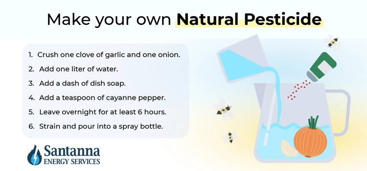 how to make your own natural pesticides