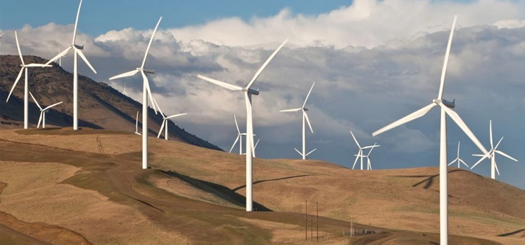 Everything you Need to Know About Wind Energy