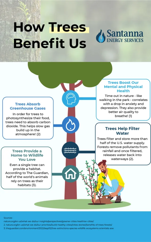 how-trees-benefit-us
