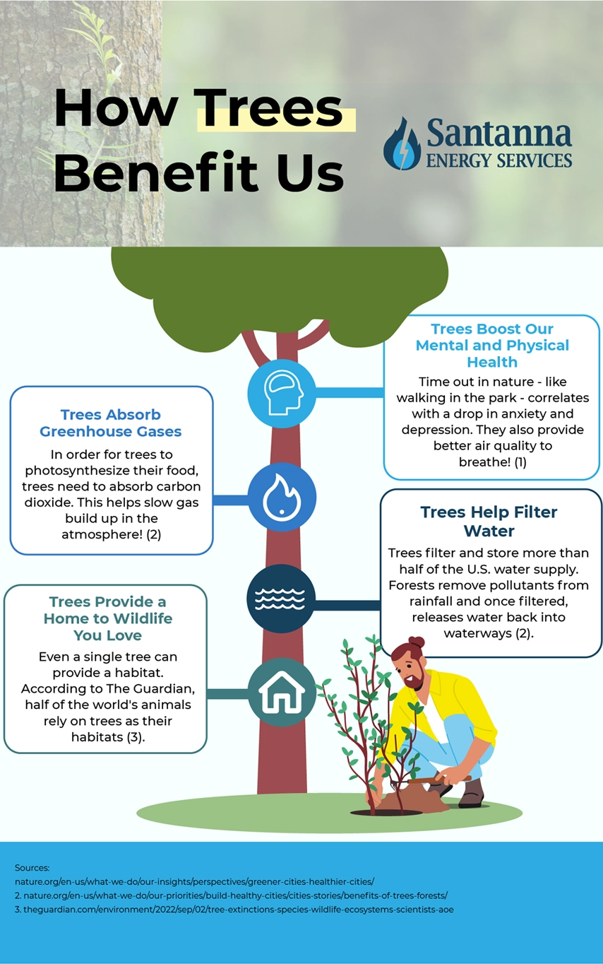 How Trees Benefit Us Infographic copy