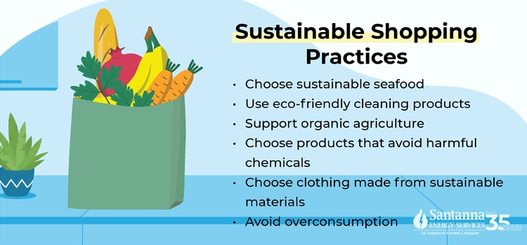 sustainable-shopping-practices