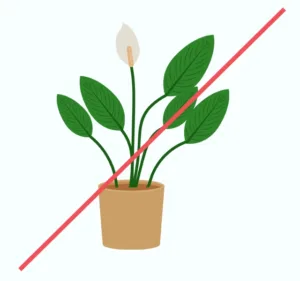 too-many-colors too-many-colors