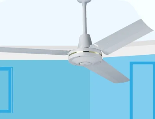 Ideal Ceiling Fan Direction in the Winter & Summer