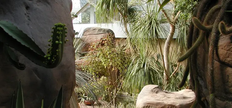 desert-room-at-the-franklin-park-conservatory