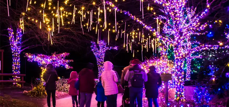 leigh-valley-zoo-christmas-lights