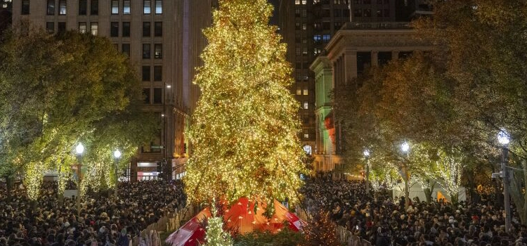 millennium-park-chicago-christmas-tree-lighting