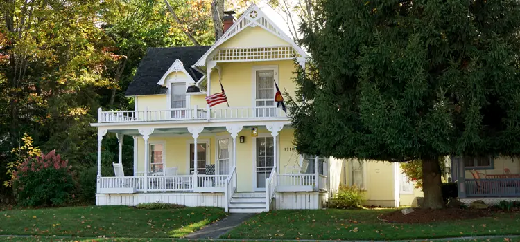 shady tree covering house windows