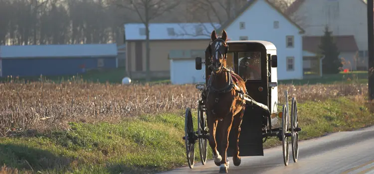 horse and buggy in amish country pa