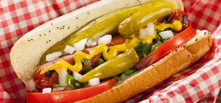 chicago style hot dog