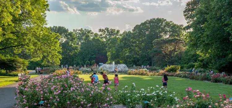 columbus park of roses columbus ohio