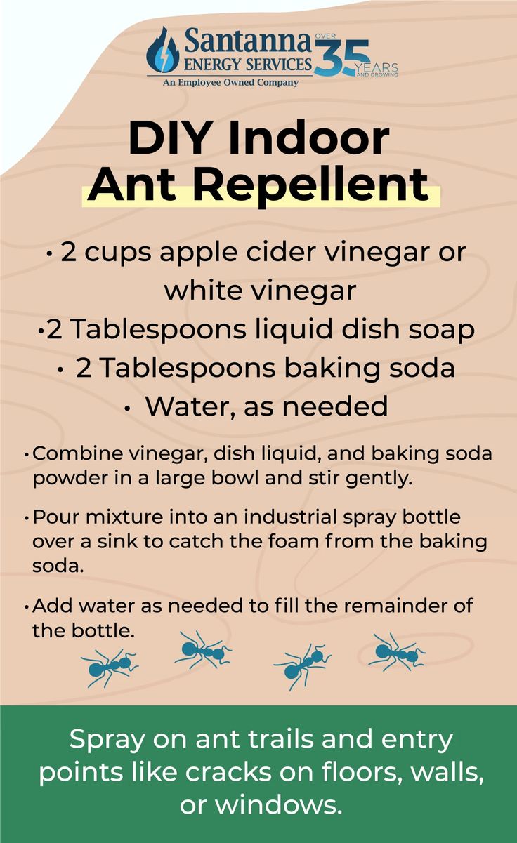 DIY indoor ant repellant