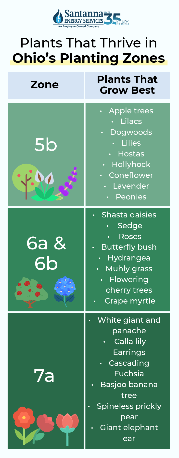 Plants-That-Thrive-in-Ohios-Planting-Zones