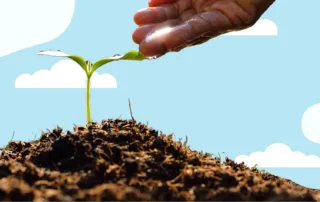 person watering a plant in ohio planting zone