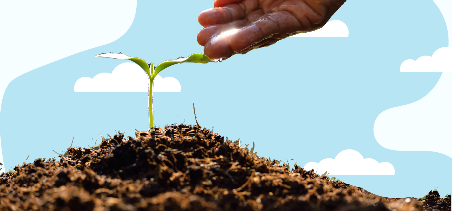 person watering a plant in ohio planting zone