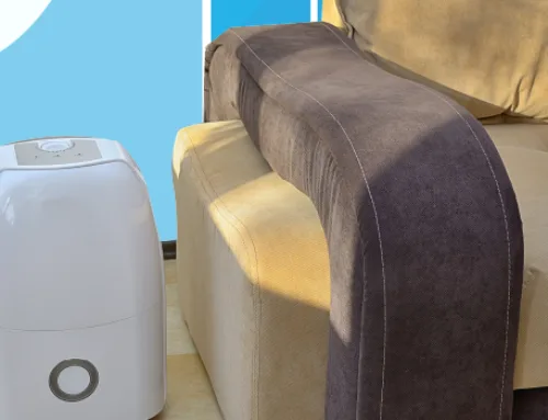 What Size Dehumidifier Do I Need