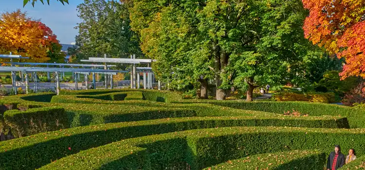 morton arbortem in the fall