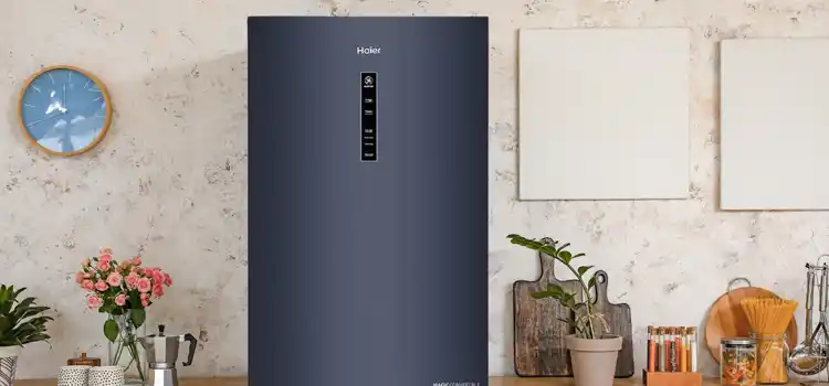 Haier mini fridge