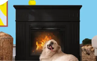 electric fireplace in a home with a dog in front