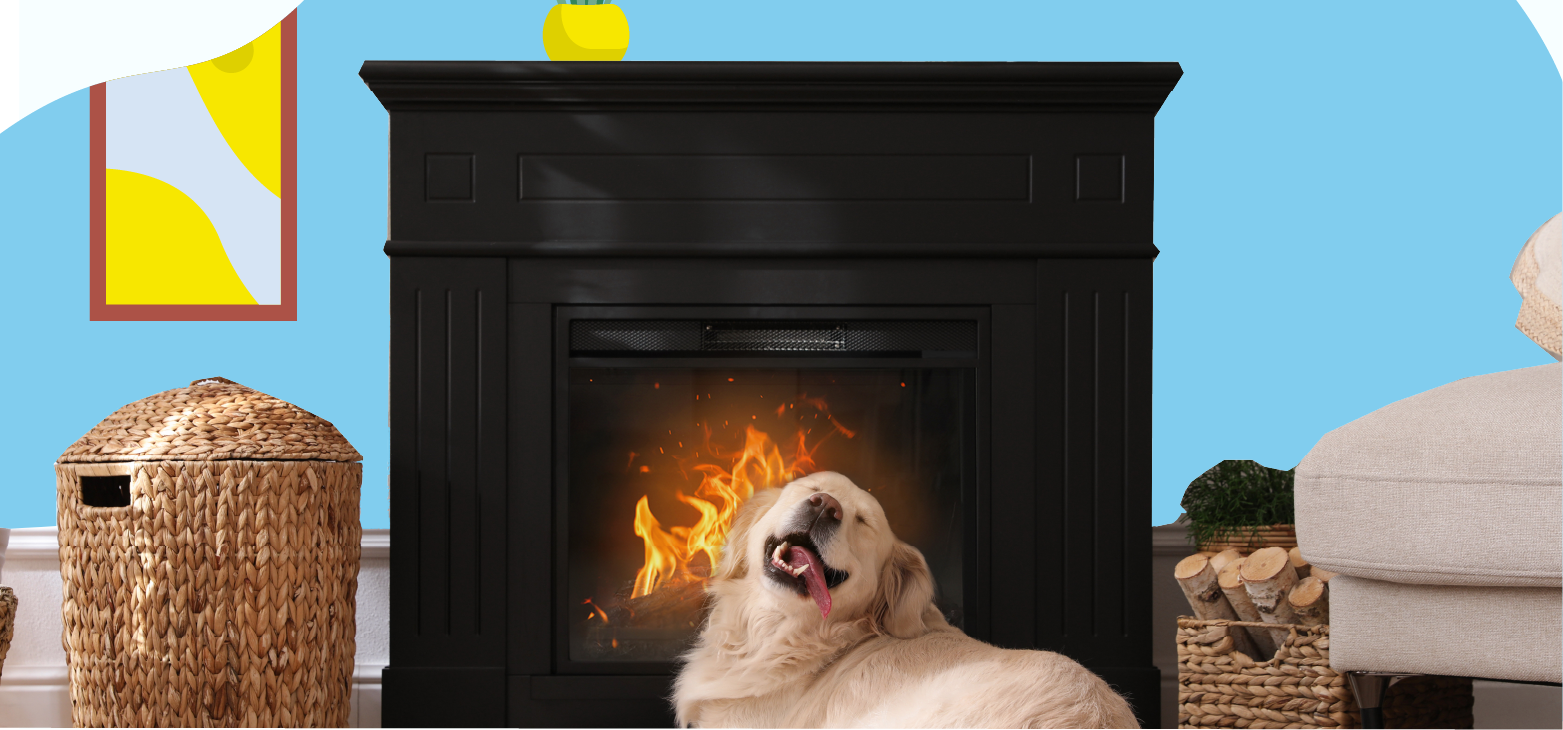 electric fireplace in a home with a dog in front