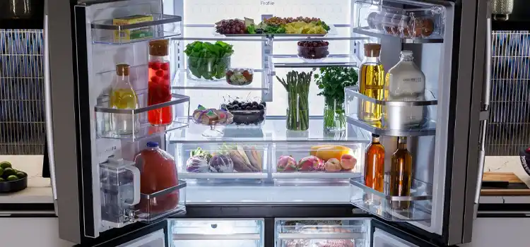 full GE fridge