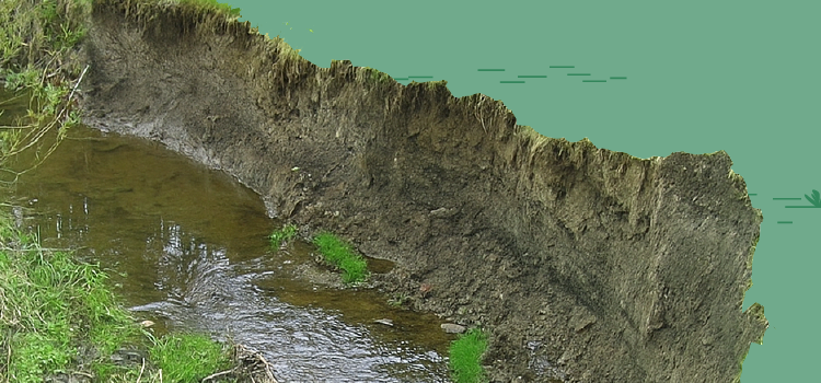 backyard with erosion
