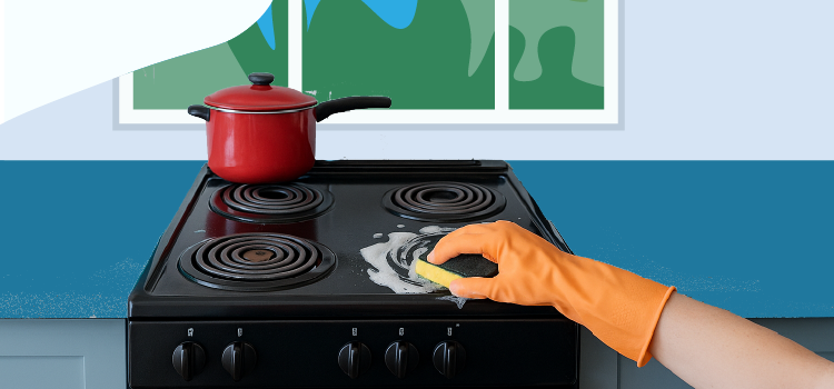 person cleaning their electric stovetop person cleaning their electric stovetop