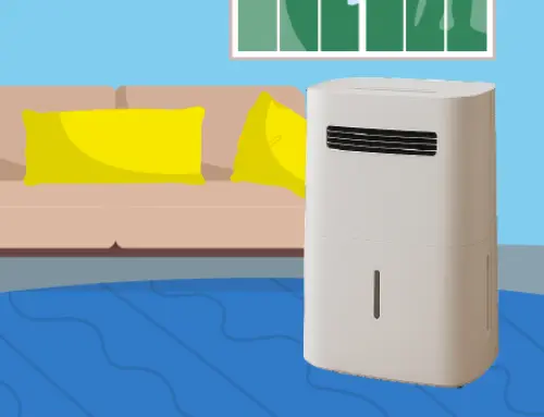 Do Dehumidifiers Use a Lot of Electricity? Cost and Efficiency Explained