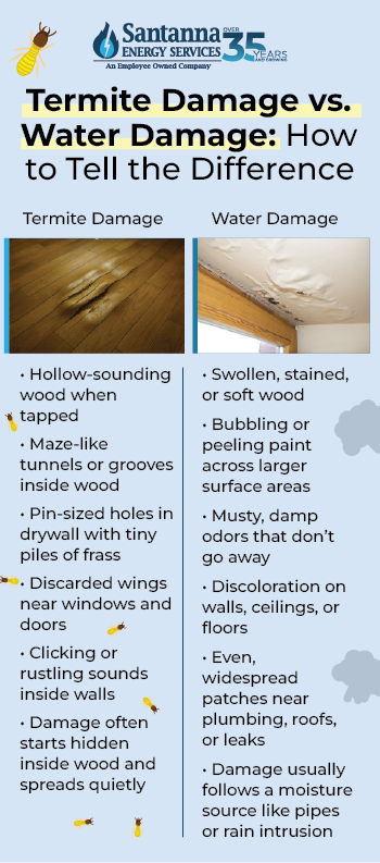 Termite-Damage-vs-Water-Damage