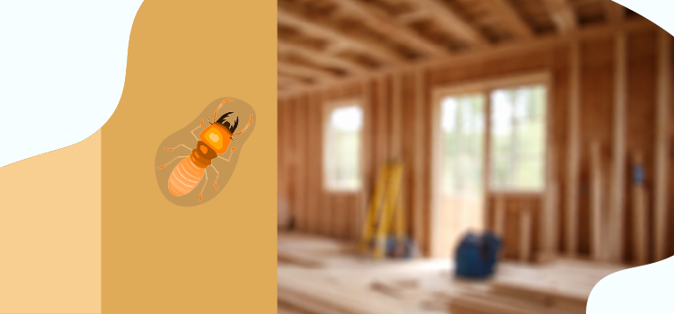 termite-on-a-beam-in-a-new-constructed-home