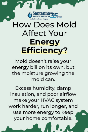How-Does-Mold-Affect-Your-Energy-Efficiency