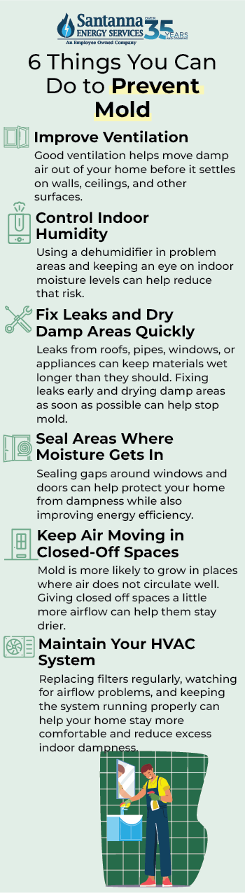 What-You-Can-Do-to-Prevent-Mold