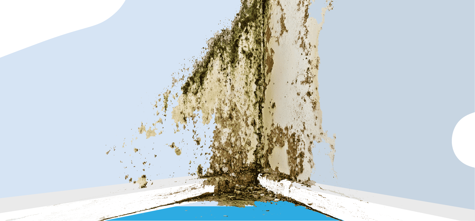mold on a wall in a home mold-on-a-wall-in-a-home