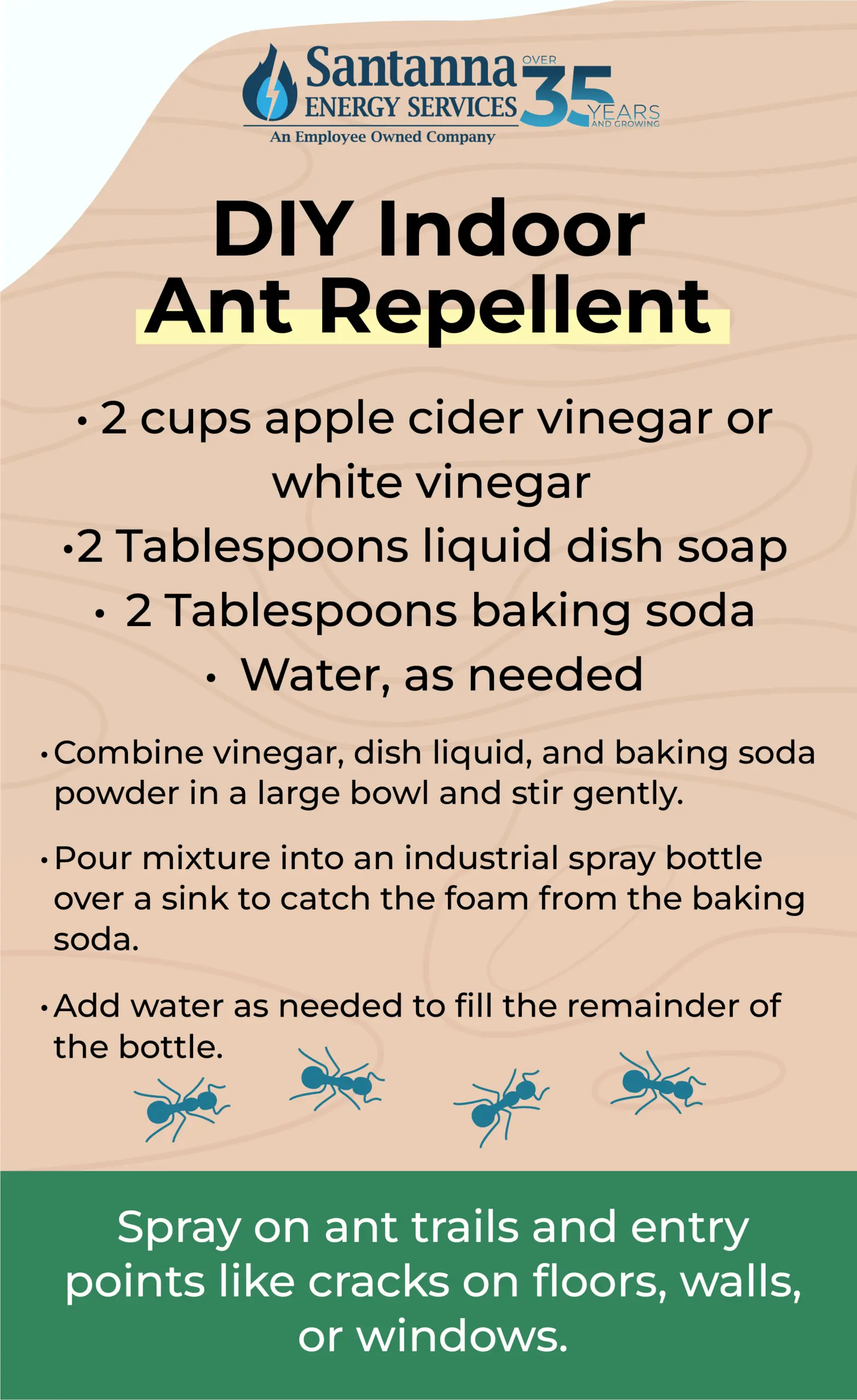 DIY-Ant-Repellant-scaled