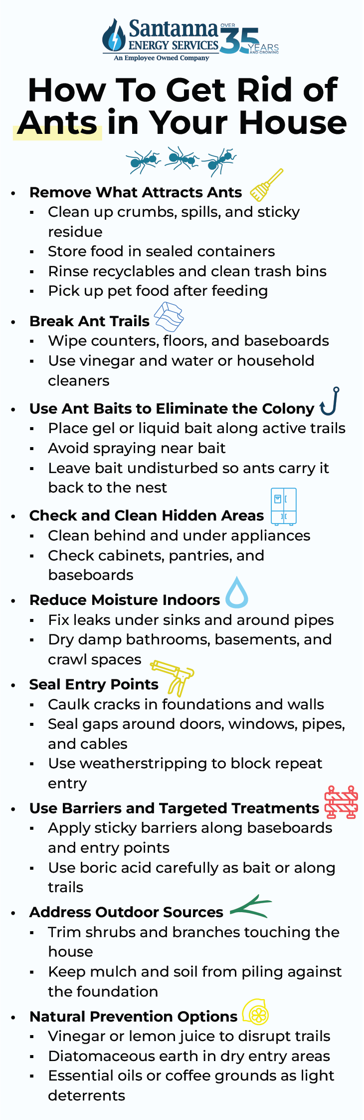 How-to-Get-Rid-of-Ants