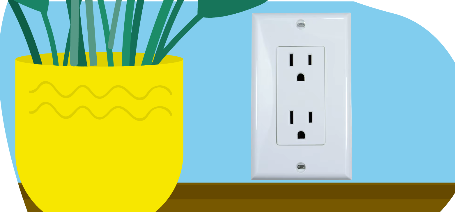 american outlet on a wall next to a plant american-outlet-on-a-wall-next-to-a-plant