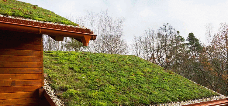 green-roofing-on-a-wood-roof.