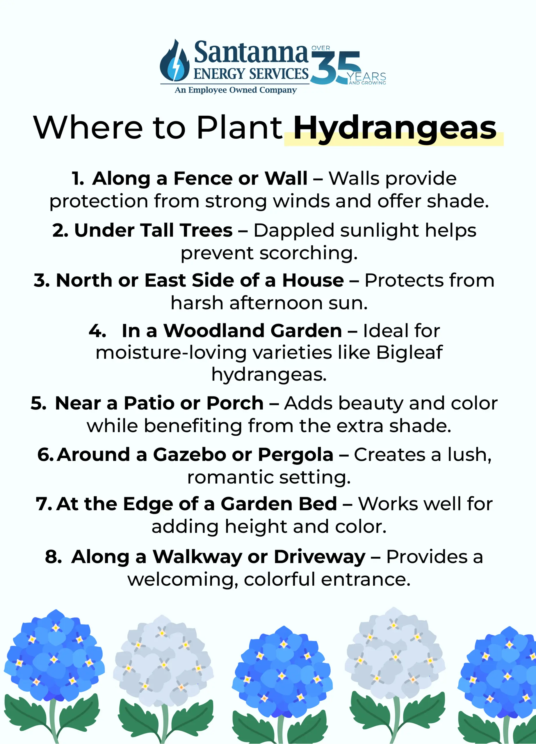 where-to-plant-hydrangeas